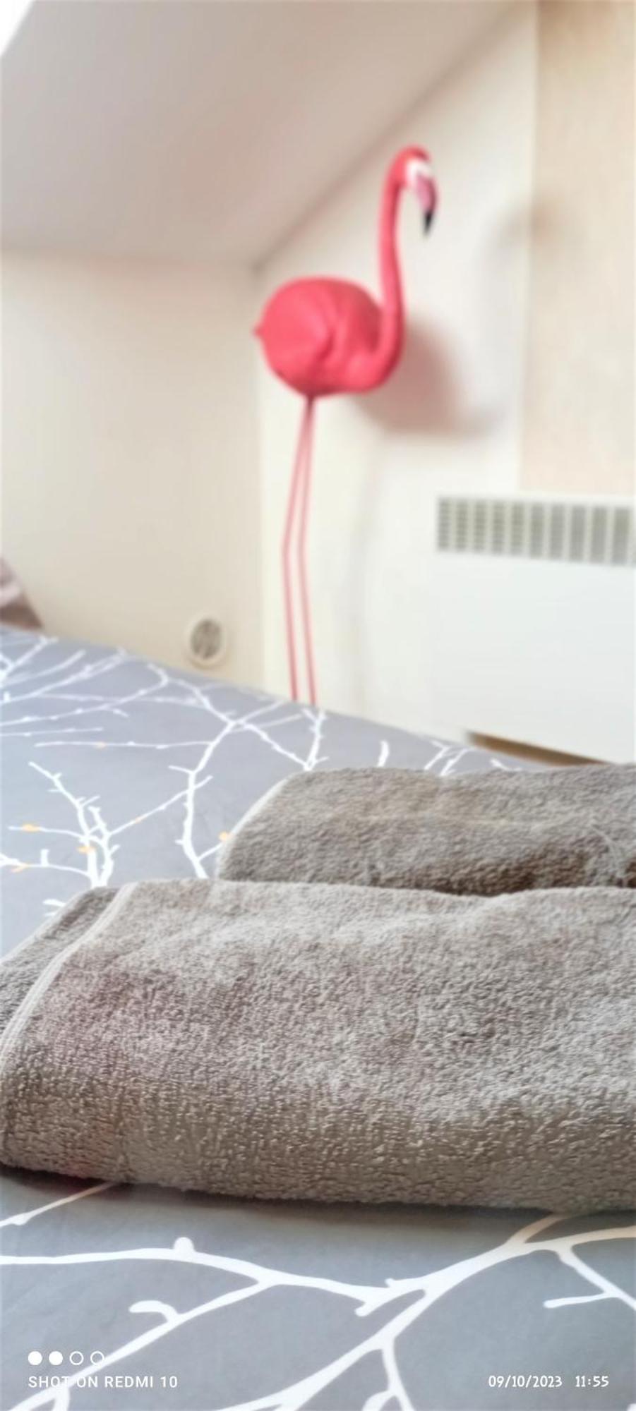 Studio Double 13 Avec Wifi Limoges Exteriér fotografie